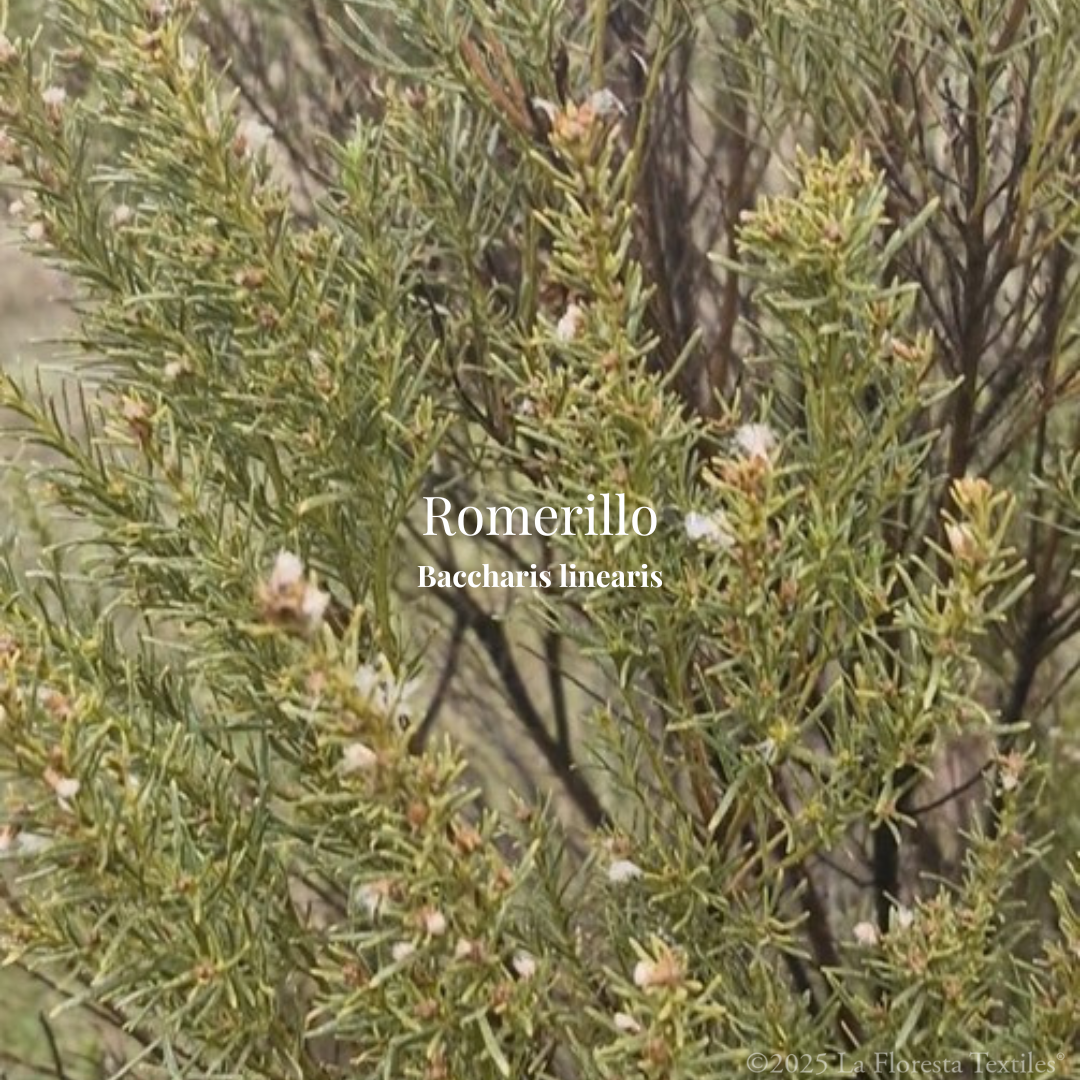 Romerillo