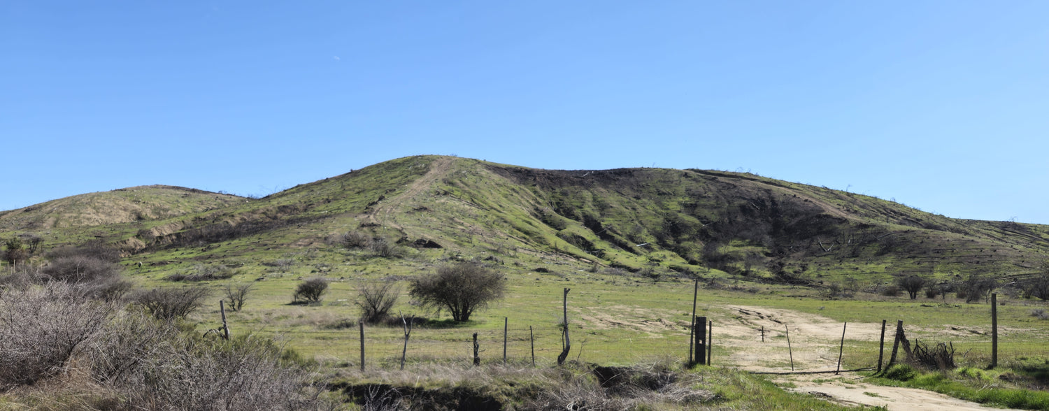 Los colores del secano
